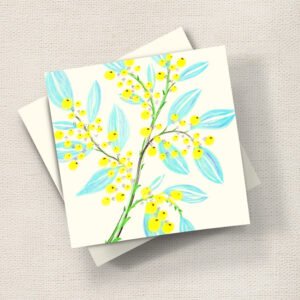 Mimosa