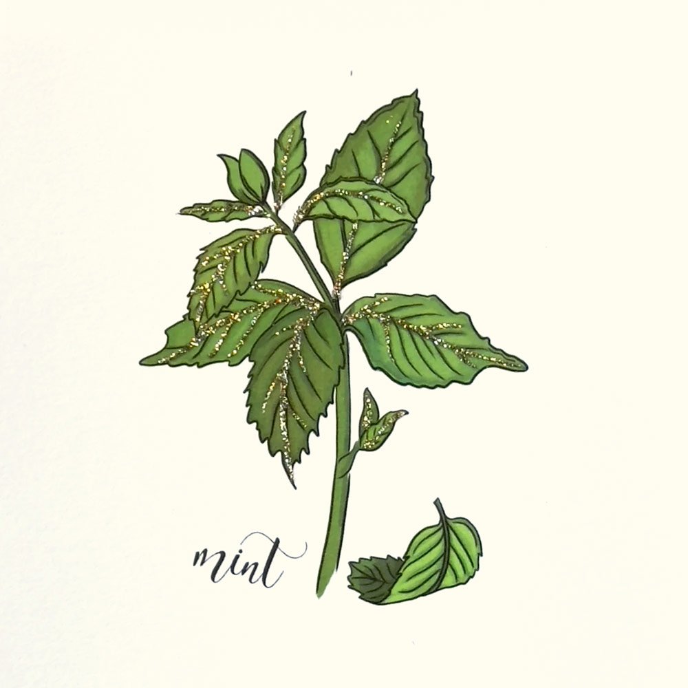 Mint English Graphics