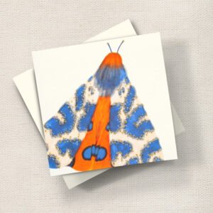 Moth (Blue)