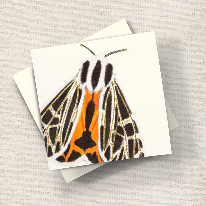 Moth (Orange)