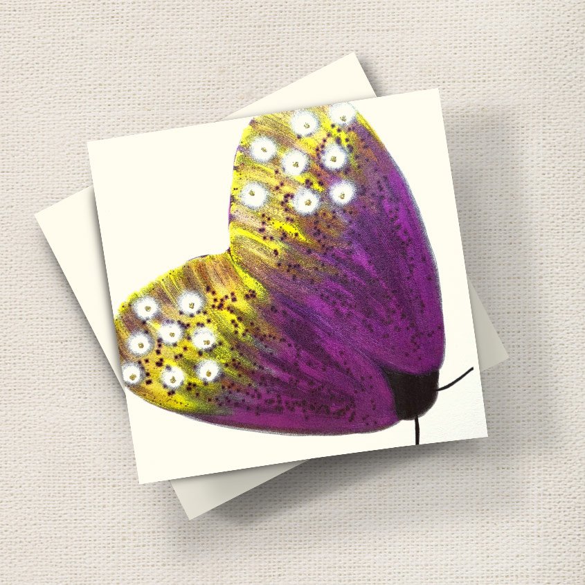 Moth (Purple)