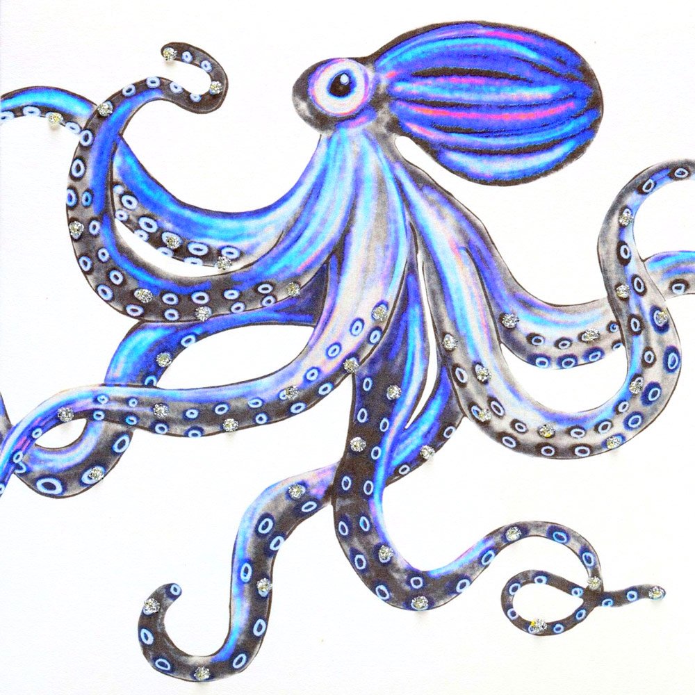 Octopus Blue English Graphics