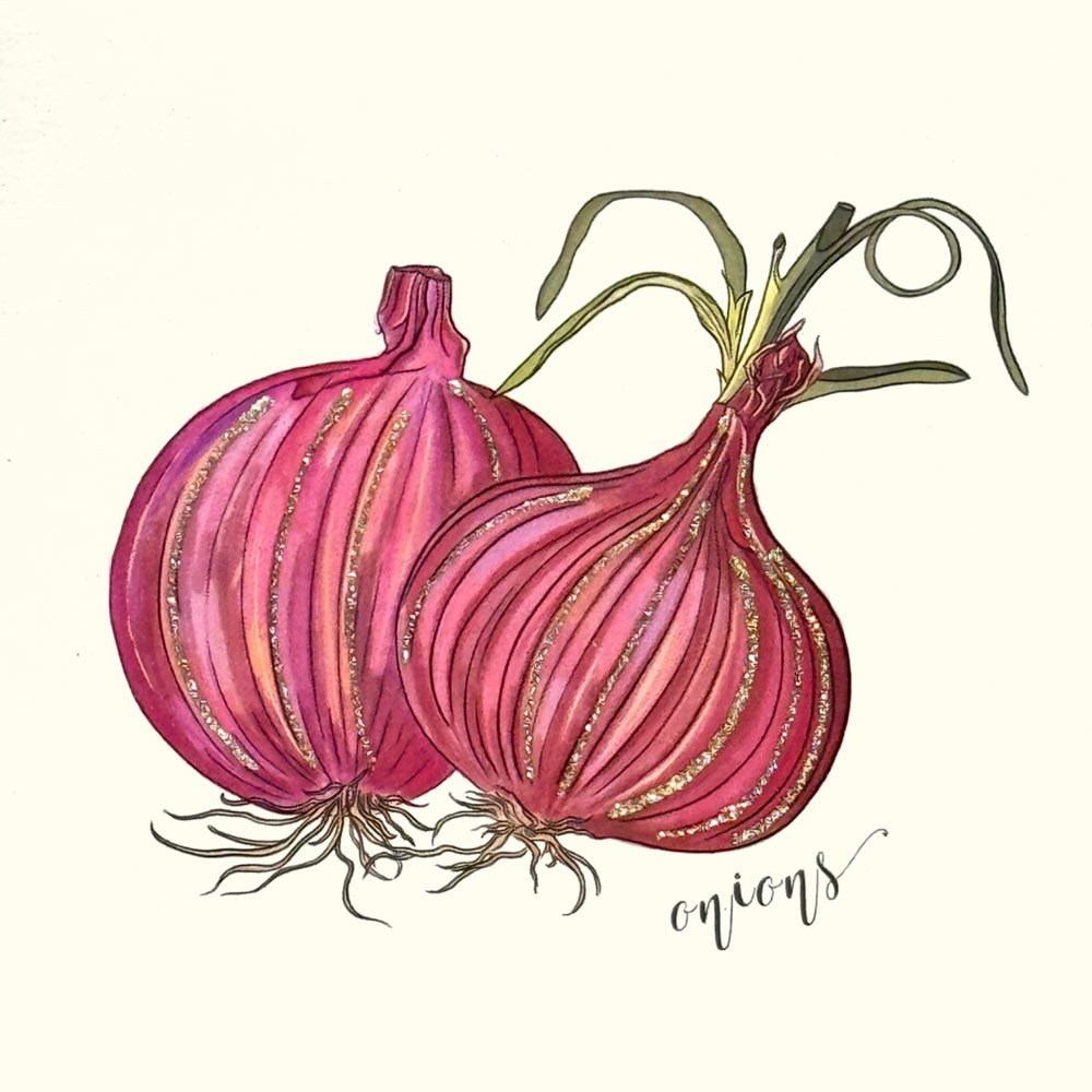 Know Your Onions English Graphics