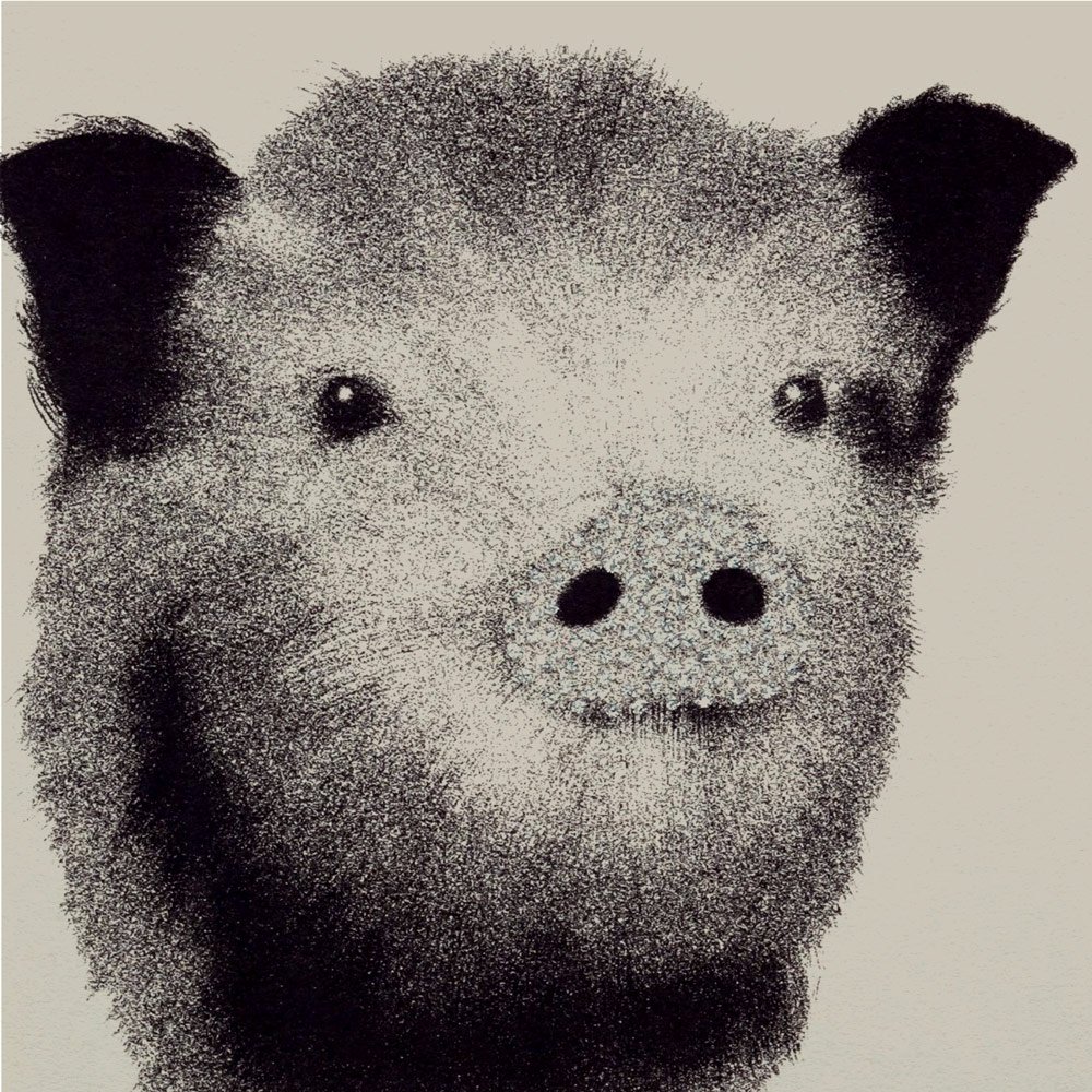 Piglet (Face) English Graphics