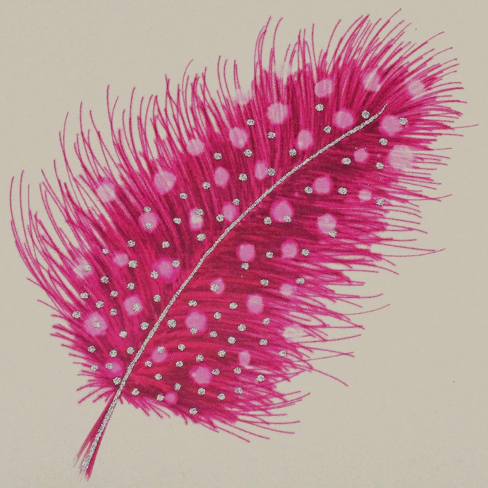 Feather (Pink) English Graphics