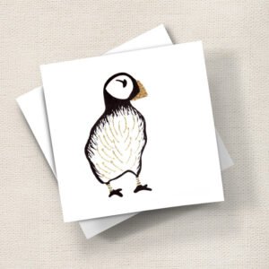 Puffin