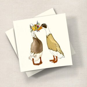 Runner Ducks