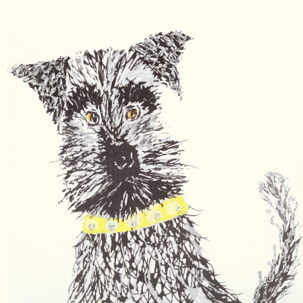 Schnauzer English Graphics
