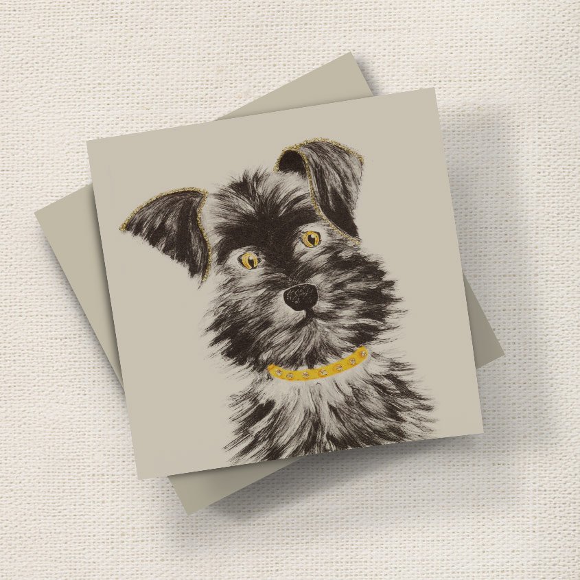 Schnauzer Puppy English Graphics