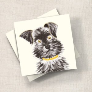 Schnauzer Puppy