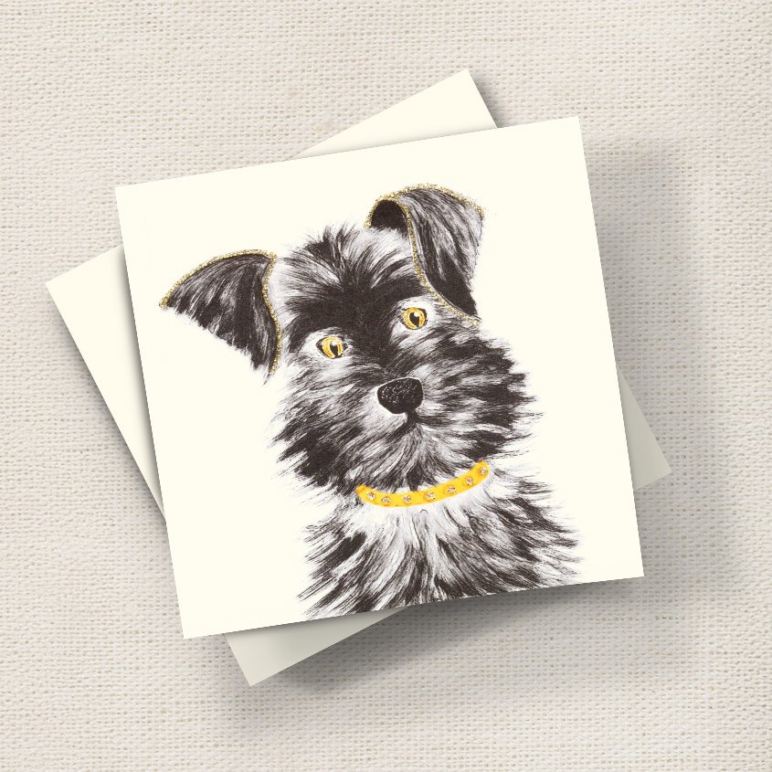 Schnauzer Puppy