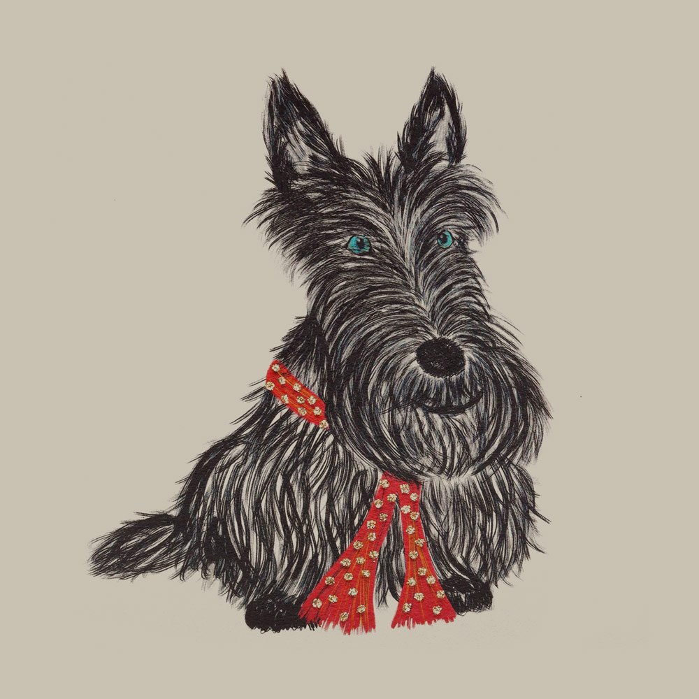 Scottie (Red Scarf) English Graphics