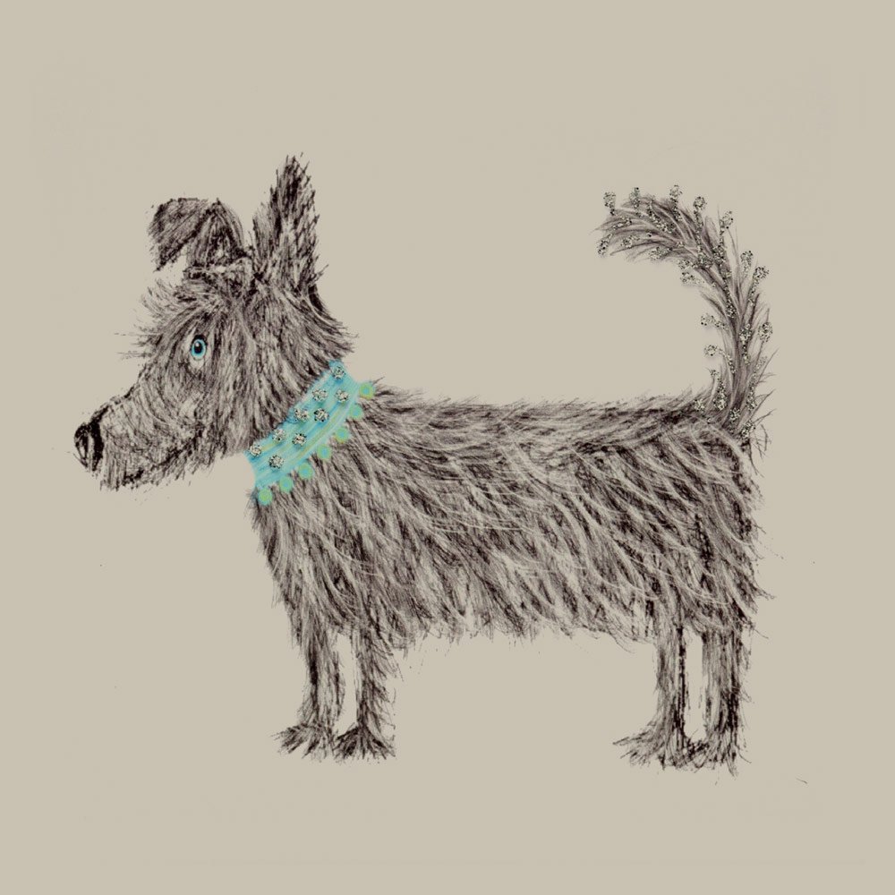 Scruffy Pooch - Image 3