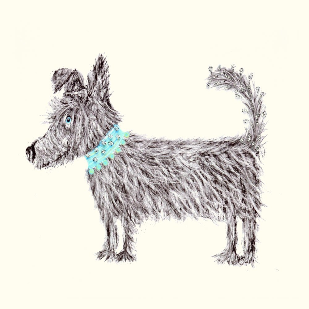 Scruffy Pooch - Image 2