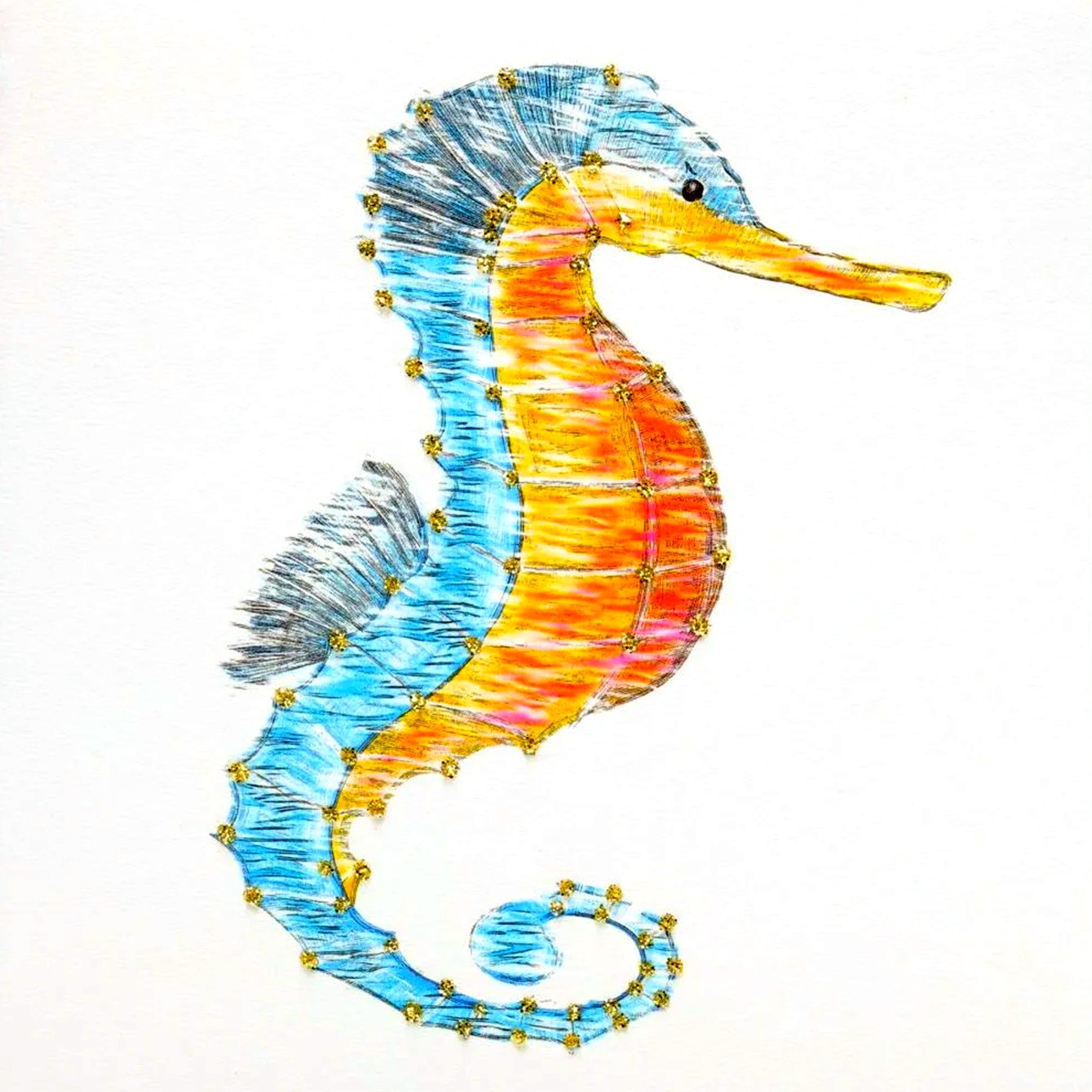 Seahorse English Graphics