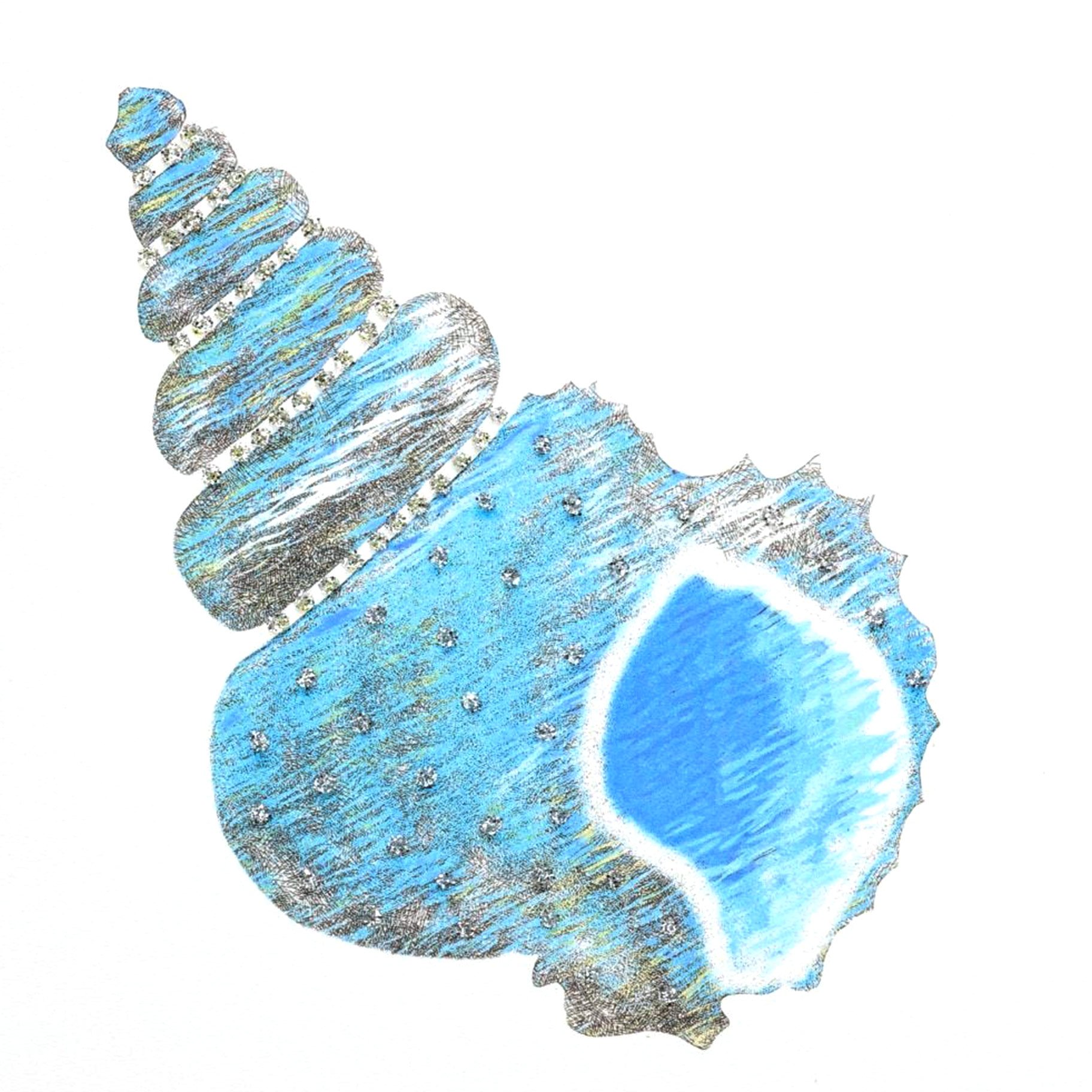 Seashell Blue English Graphics
