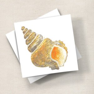 Seashell Gold