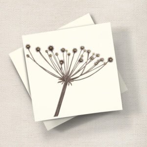 Seed Head
