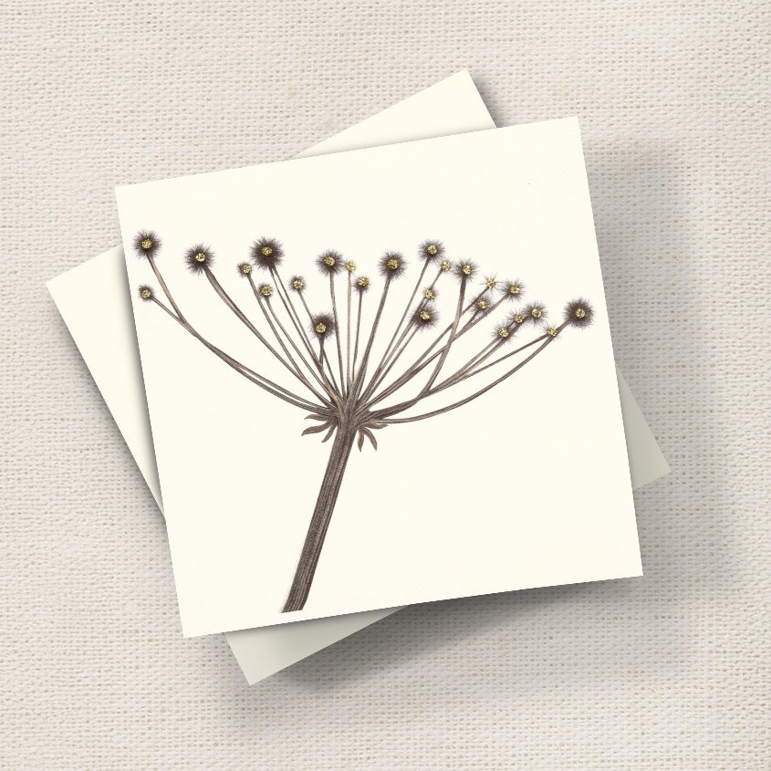 Seed Head