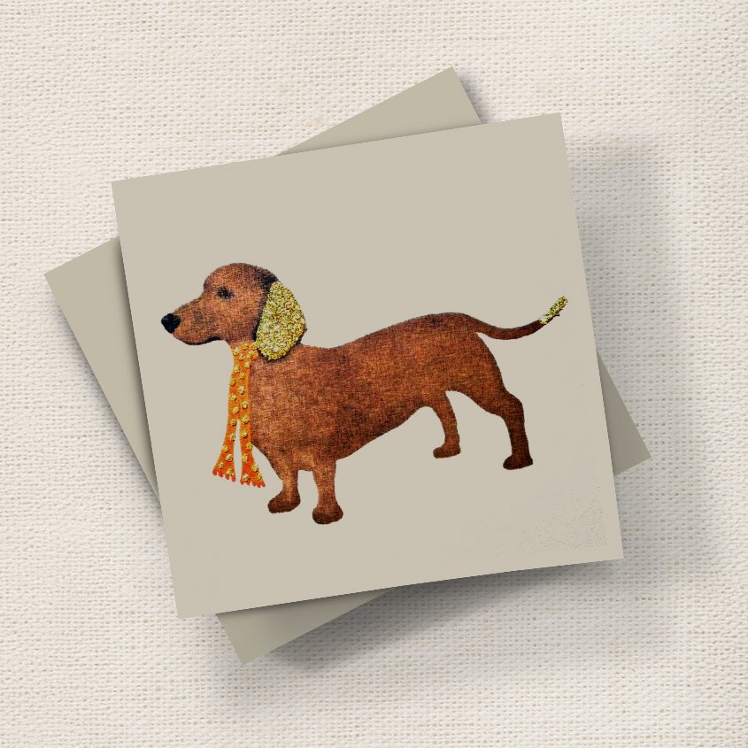 Short Haired Dachshund