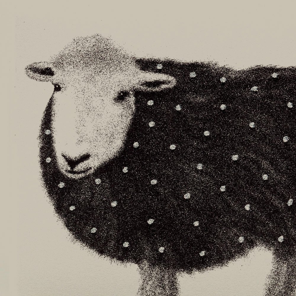 Sheep English Graphics