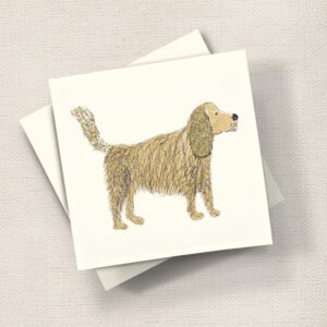 Spaniel
