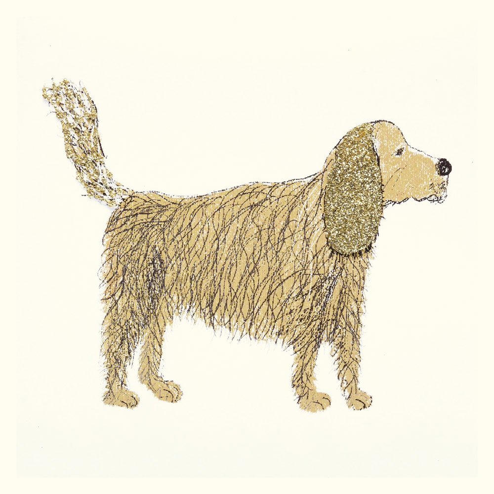 Spaniel English Graphics