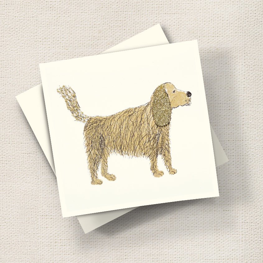 Spaniel