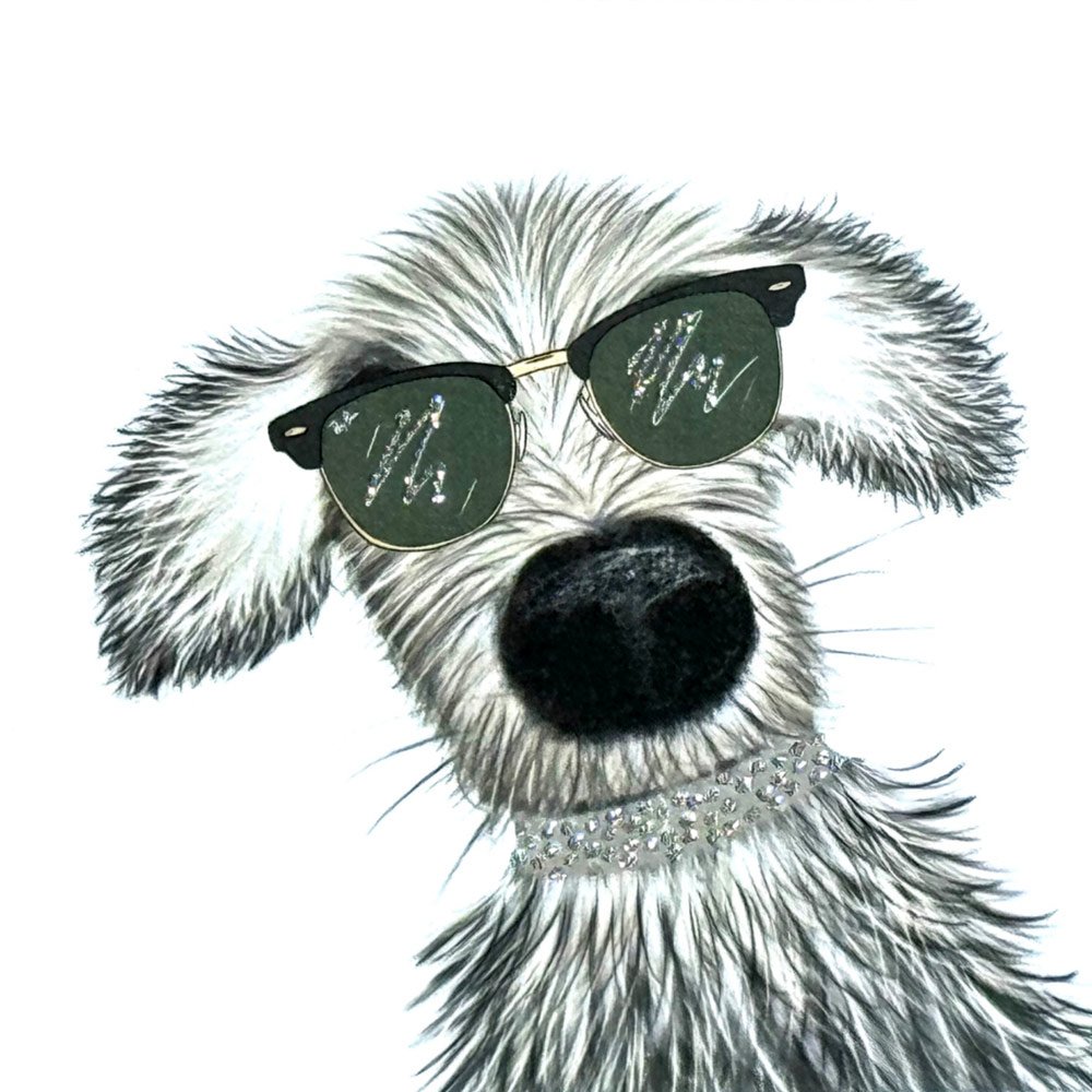Sunny Spike English Graphics
