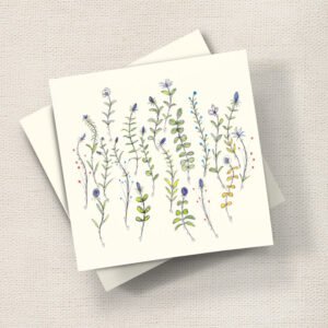 Summer Meadow