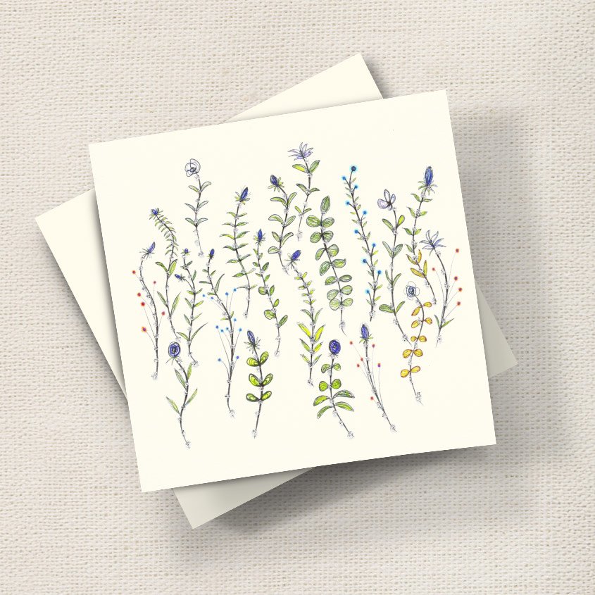 Summer Meadow