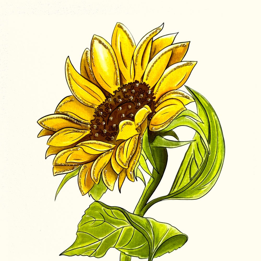 Sunflower English Graphics