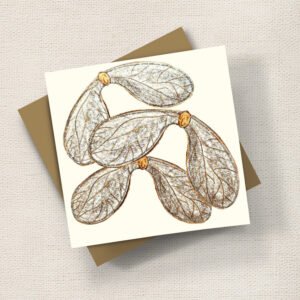 Sycamore