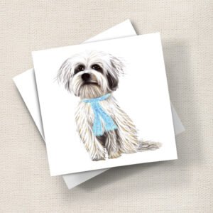 Tibetan Terrier (Oscar)