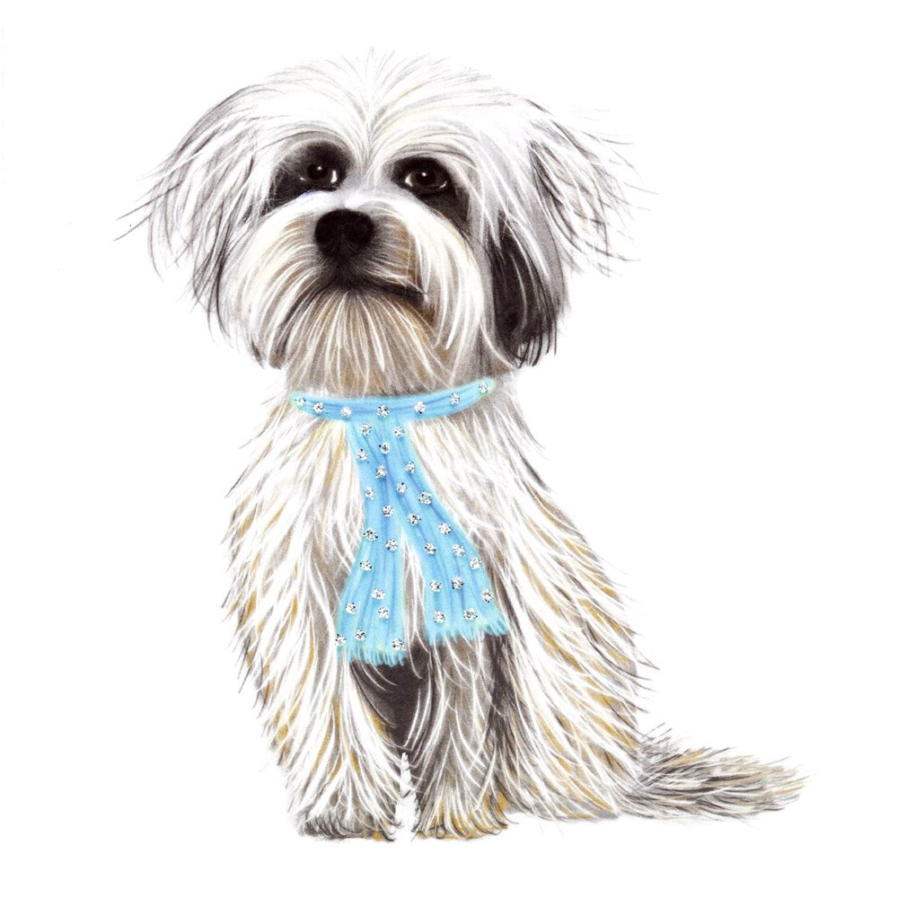 Tibetan Terrier (Oscar) English Graphics