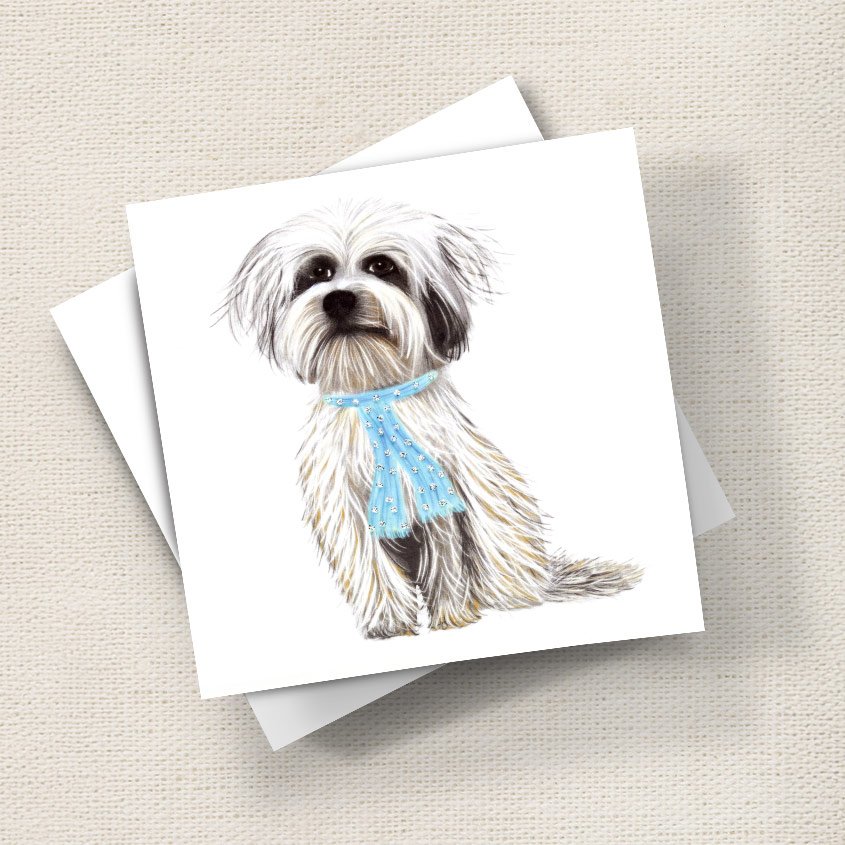 Tibetan Terrier (Oscar)