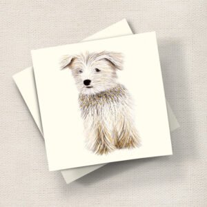Terrier Puppy