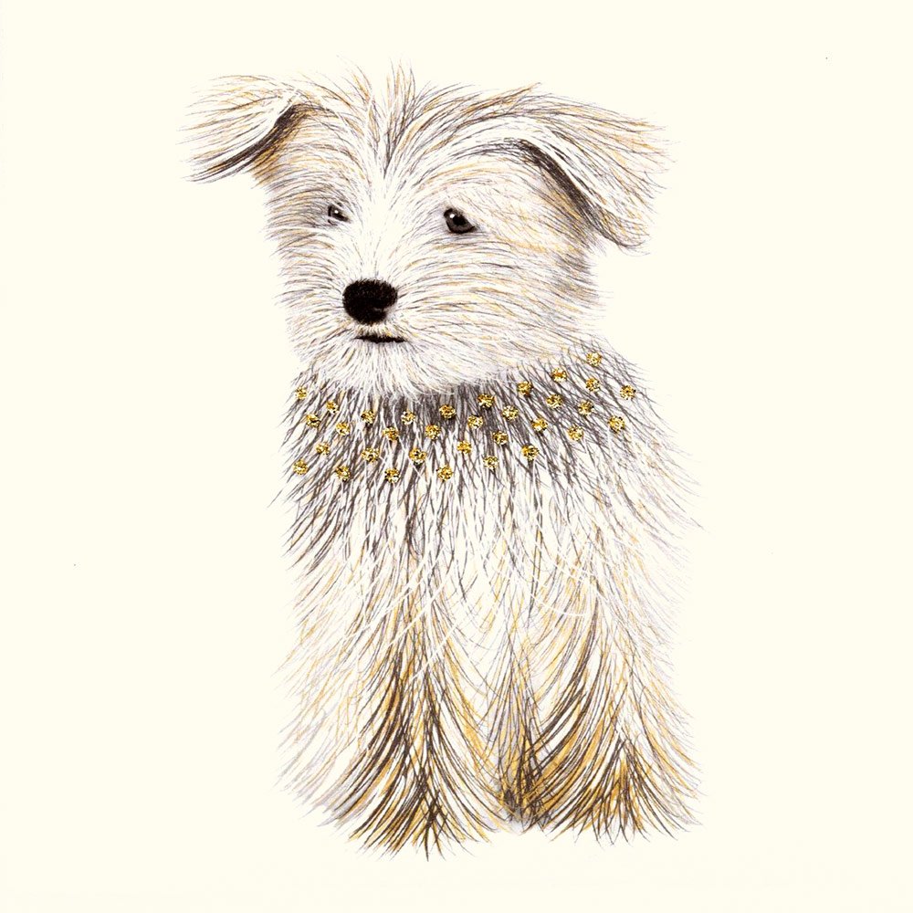 Terrier Puppy English Graphics
