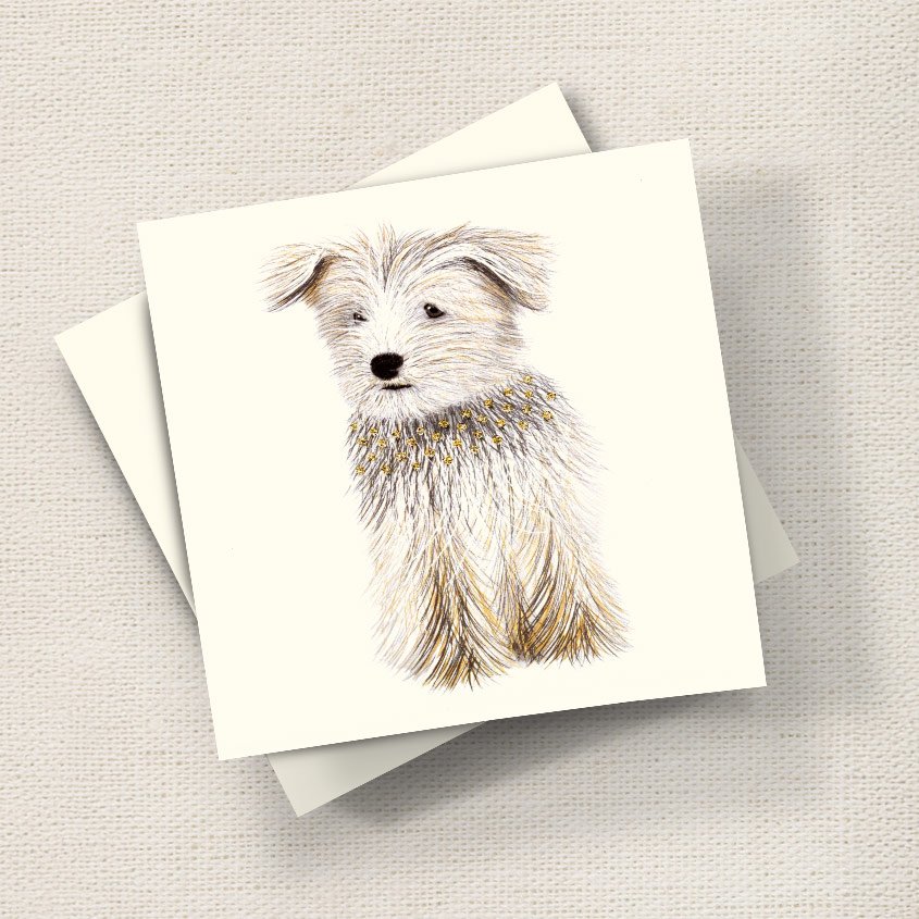 Terrier Puppy