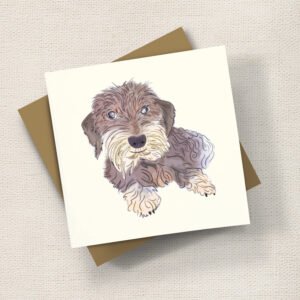 Whiskers Terrier