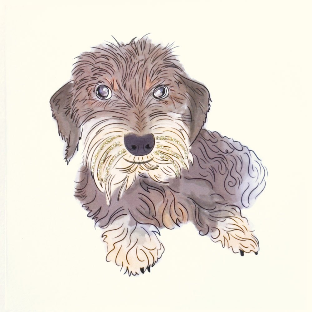 Whiskers Terrier English Graphics