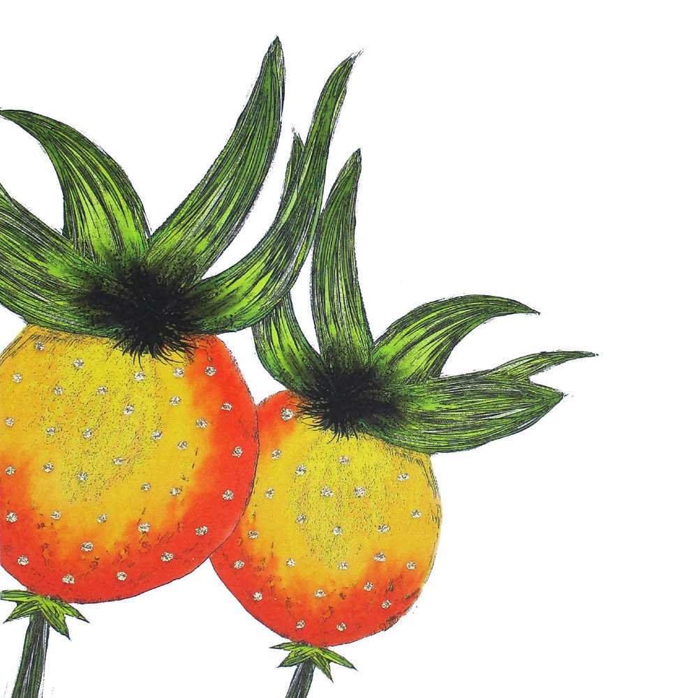 Winter Rosehip English Graphics