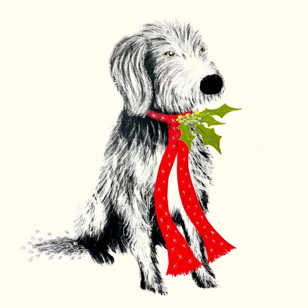Bearded Collie Christmas Dog English Graphics