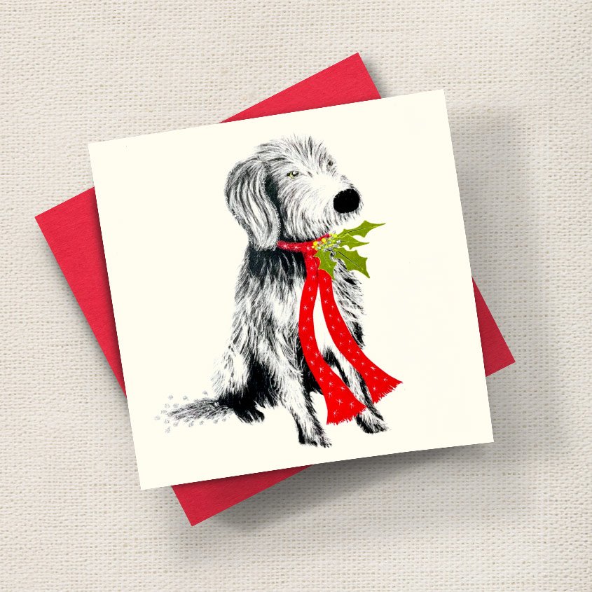 Bearded Collie Christmas Dog