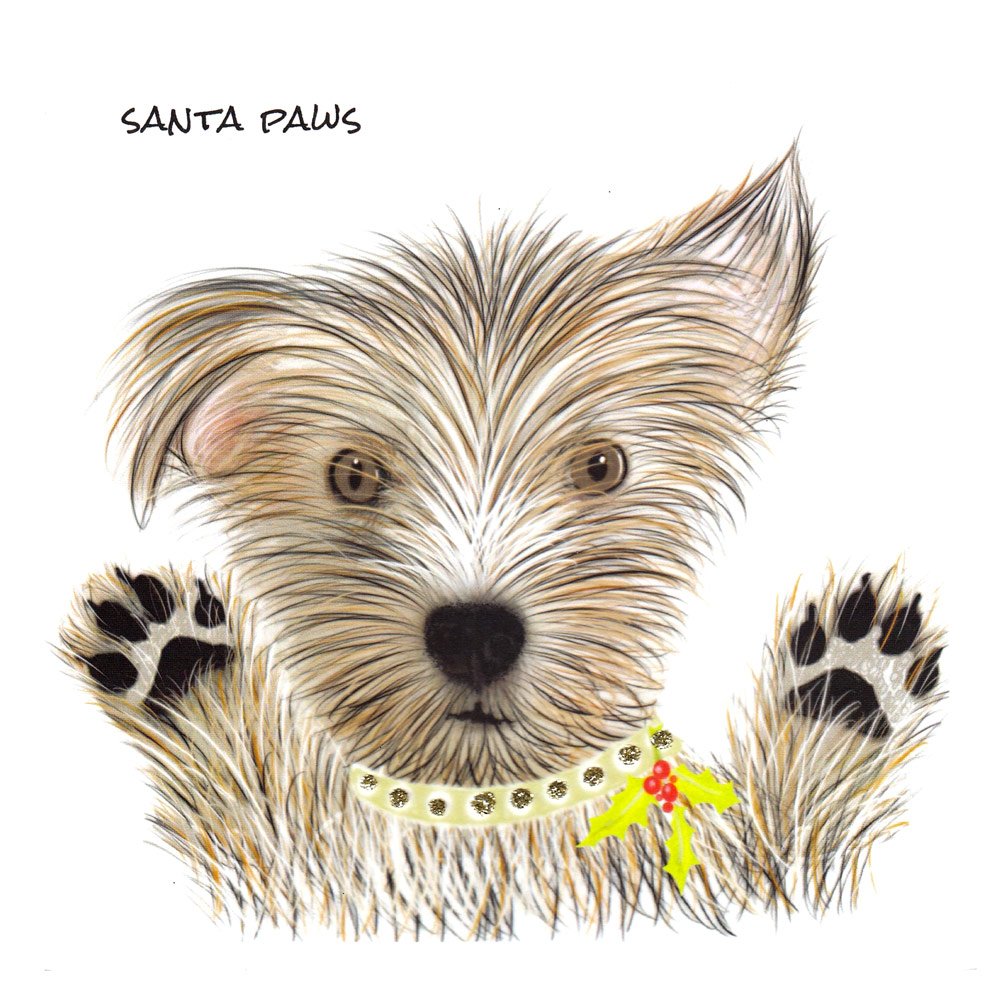 Scruffy Paws Christmas Dog English Graphics