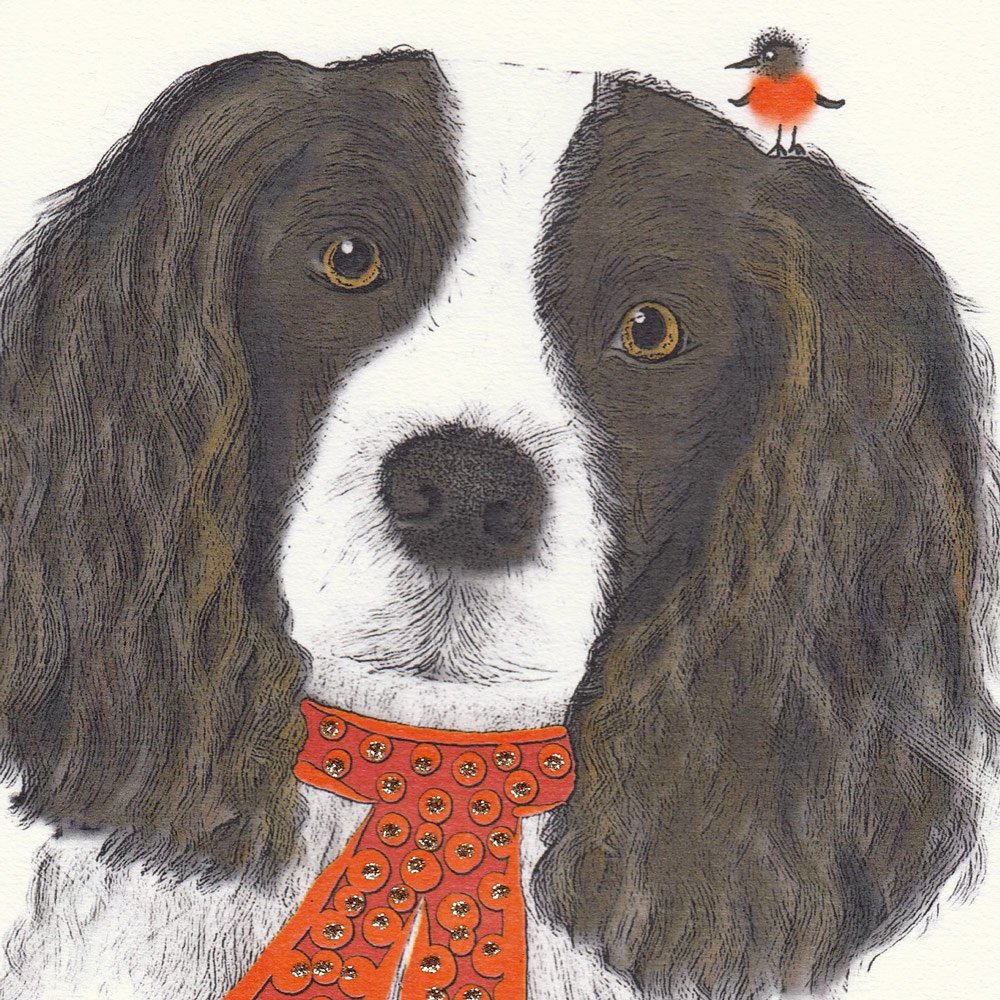 Springer Spaniel Christmas Dog English Graphics