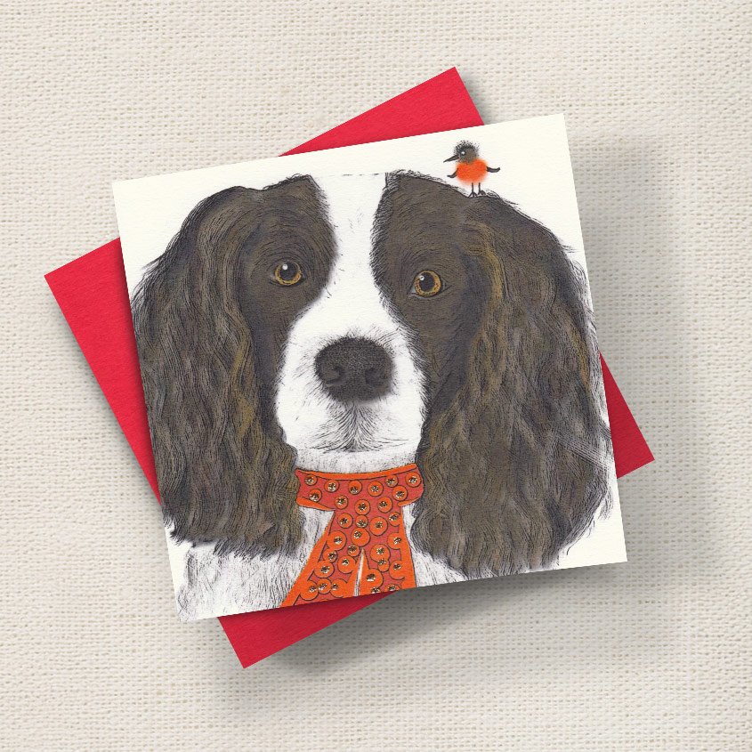 Springer Spaniel Christmas Dog