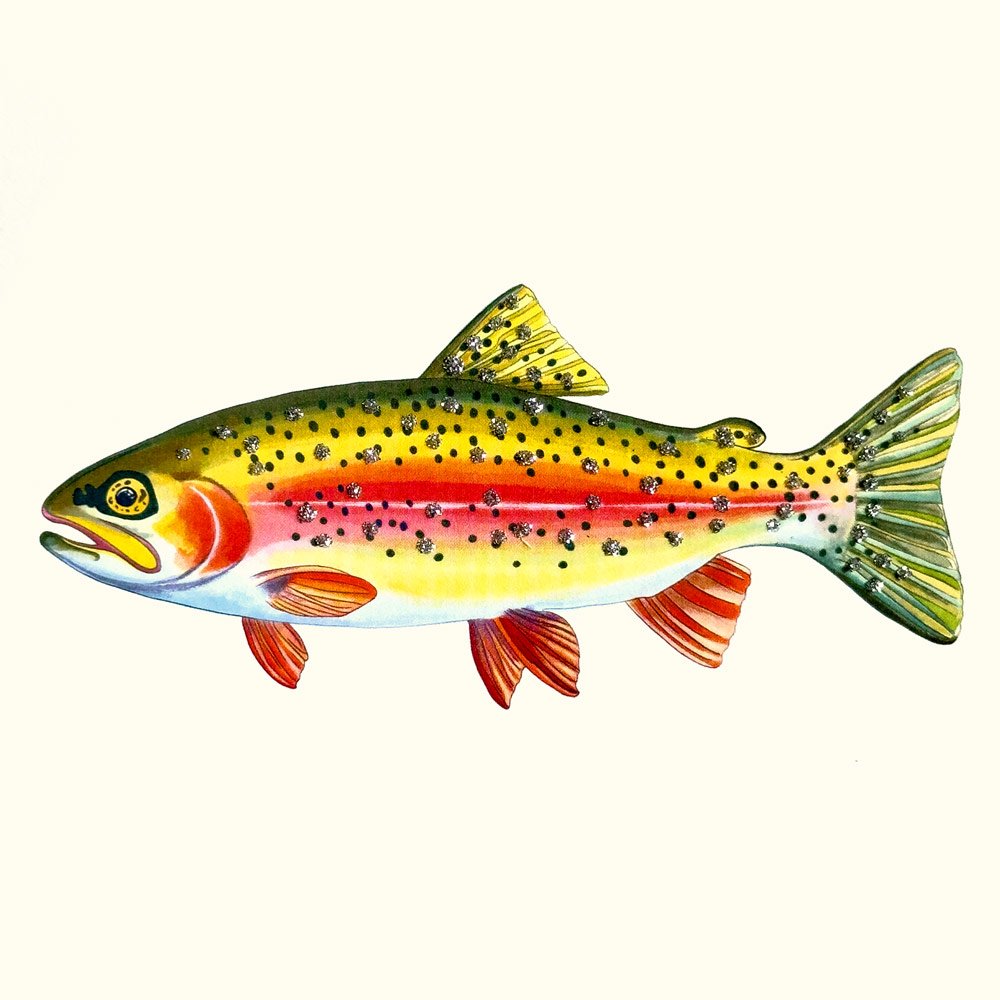 Rainbow Trout English Graphics