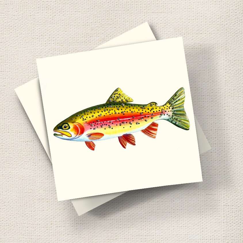 Rainbow Trout