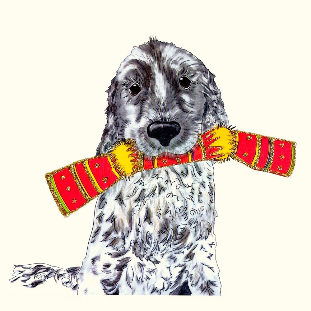 Beau (Cracker) English Graphics